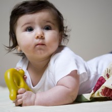 baby-wyellow-chewy-220x220